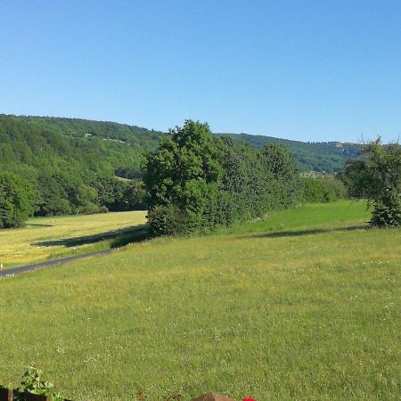 Ferienwohnung Csilla Unterweid Buitenkant foto